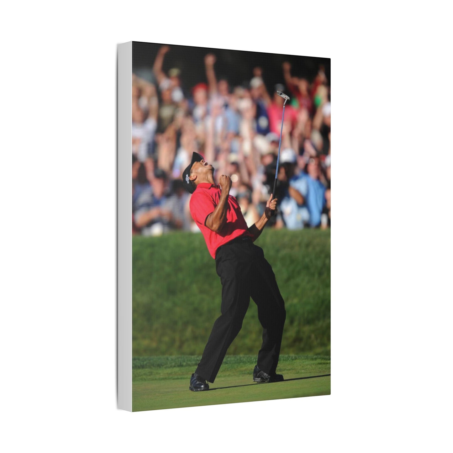 TIGAR WOODS WINS THE 2008 U.S. OPEN