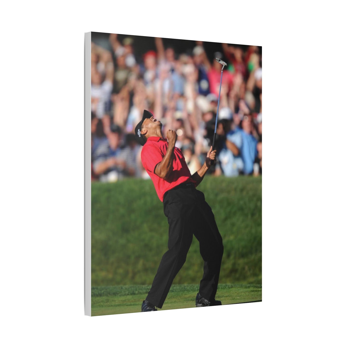 TIGAR WOODS WINS THE 2008 U.S. OPEN