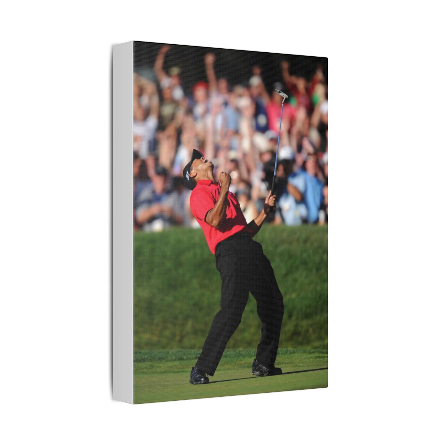 TIGAR WOODS WINS THE 2008 U.S. OPEN