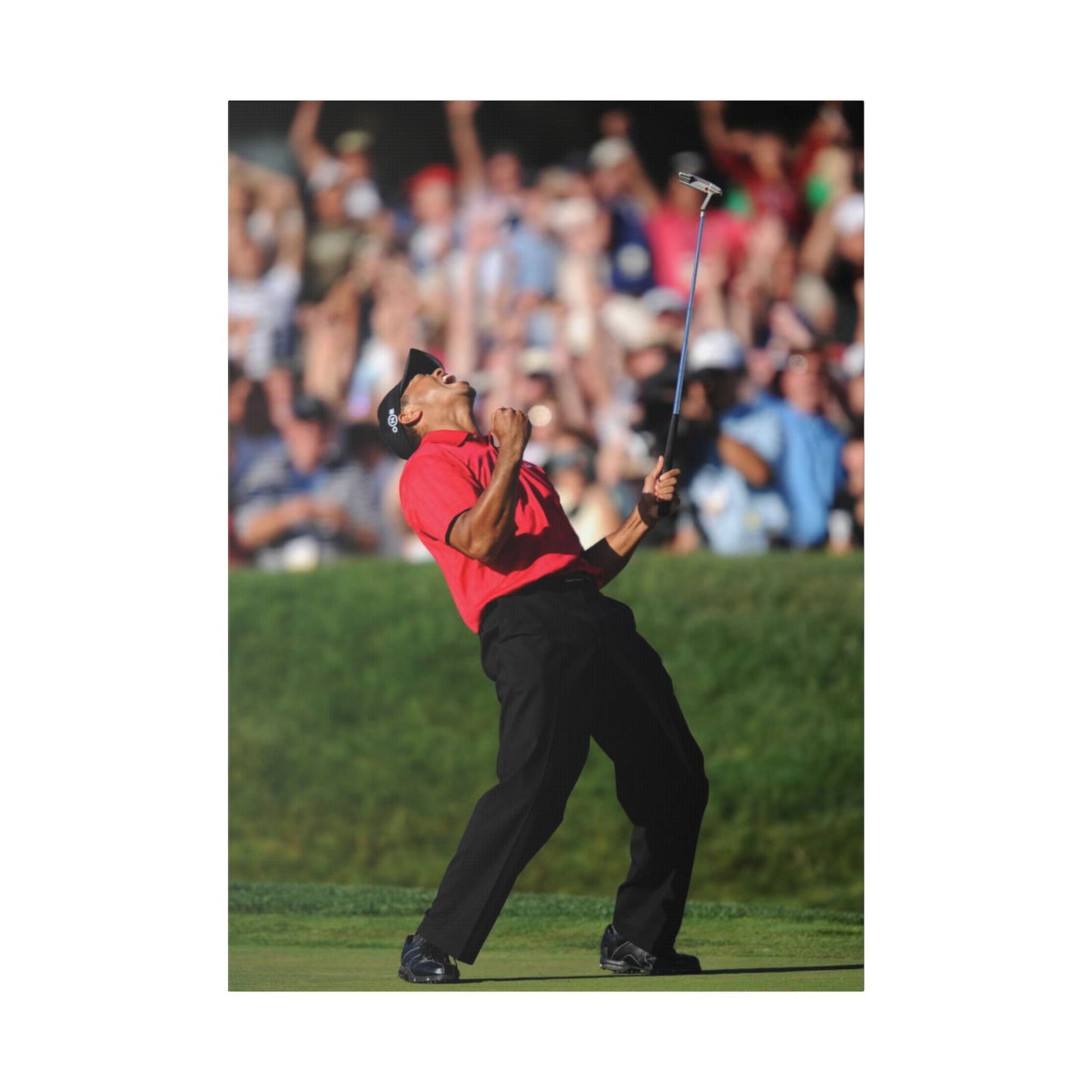 TIGAR WOODS WINS THE 2008 U.S. OPEN