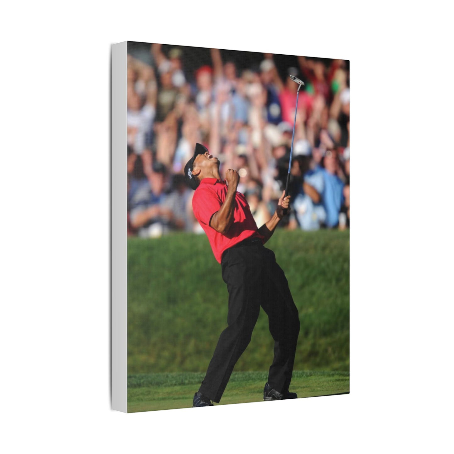 TIGAR WOODS WINS THE 2008 U.S. OPEN