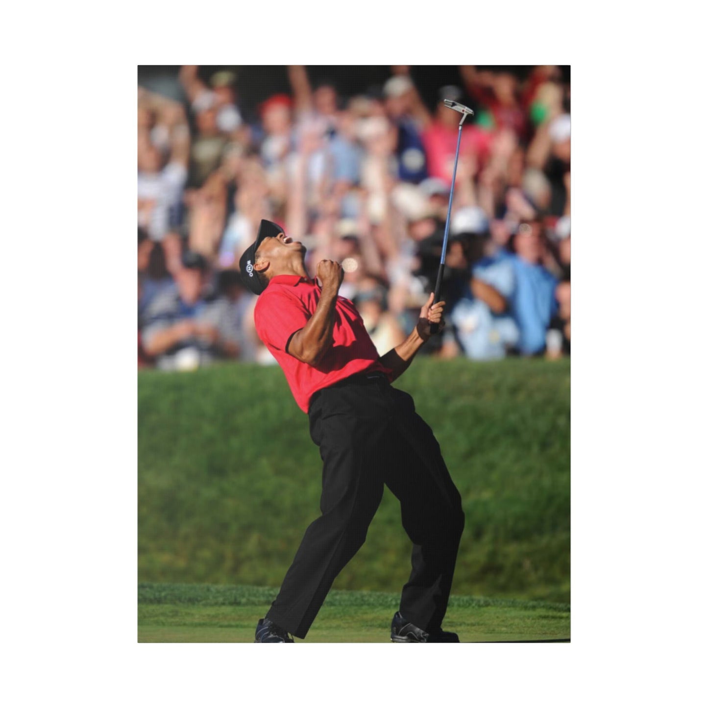 TIGAR WOODS WINS THE 2008 U.S. OPEN