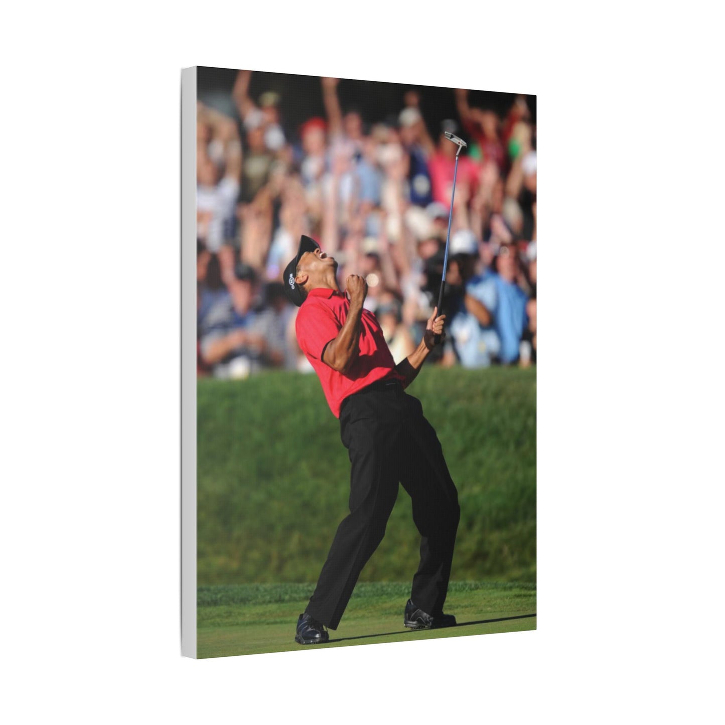 TIGAR WOODS WINS THE 2008 U.S. OPEN