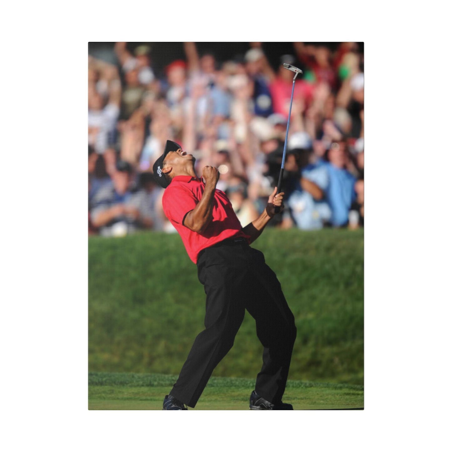 TIGAR WOODS WINS THE 2008 U.S. OPEN