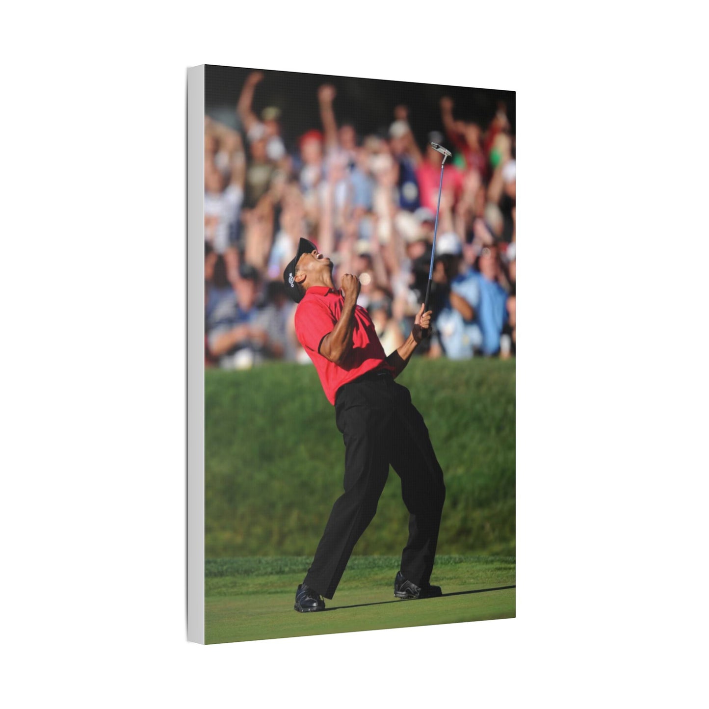 TIGAR WOODS WINS THE 2008 U.S. OPEN